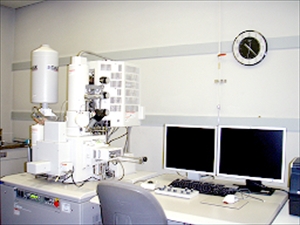 元素分析付高分解能電界放出型走査電子顕微鏡