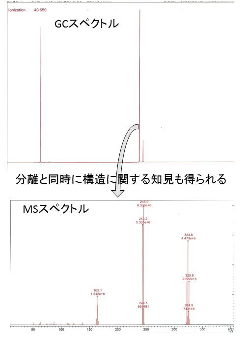 GC-MSスペクトル例